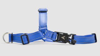 Atlas Pet Company Lifetime Harness in blue