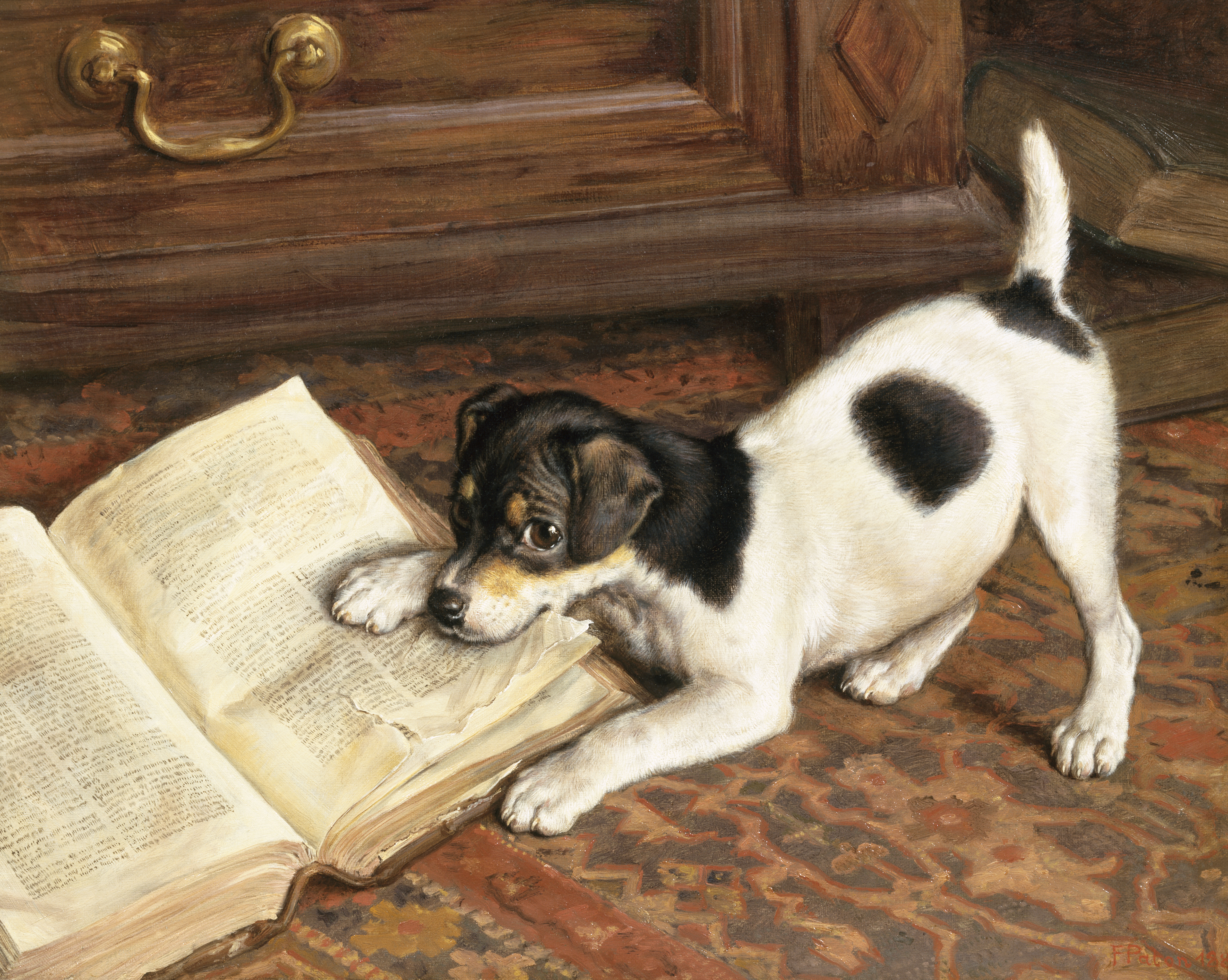 Ben Randall: Why your dog behaves for some people, but not others