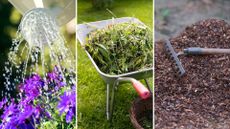 composite of plant watering, wheelbarrow with weeds and garden mulch with rake 