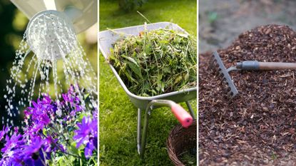 composite of plant watering, wheelbarrow with weeds and garden mulch with rake 