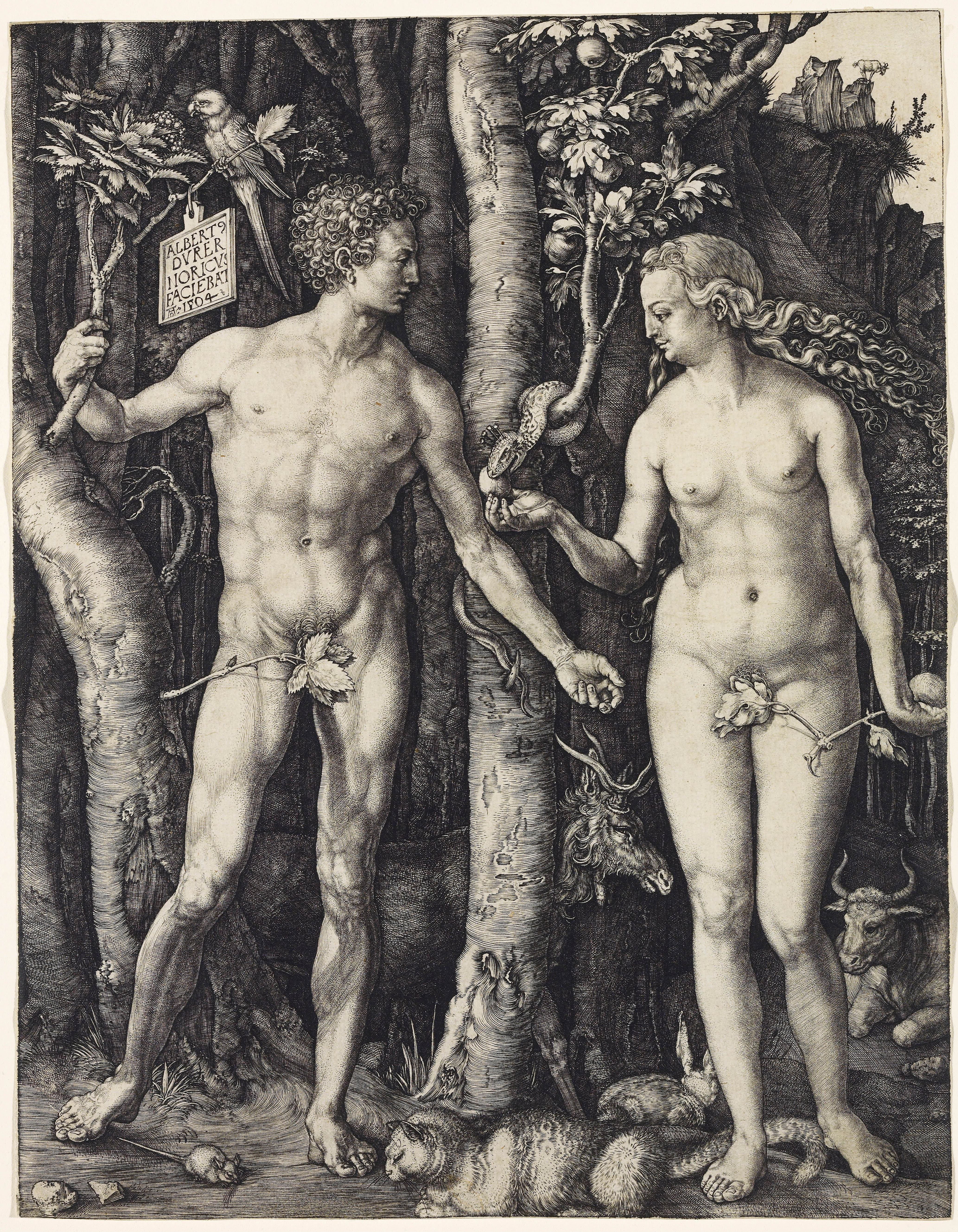 The Naked Body: Adam and Eve, Albrecht D&amp;uuml;rer