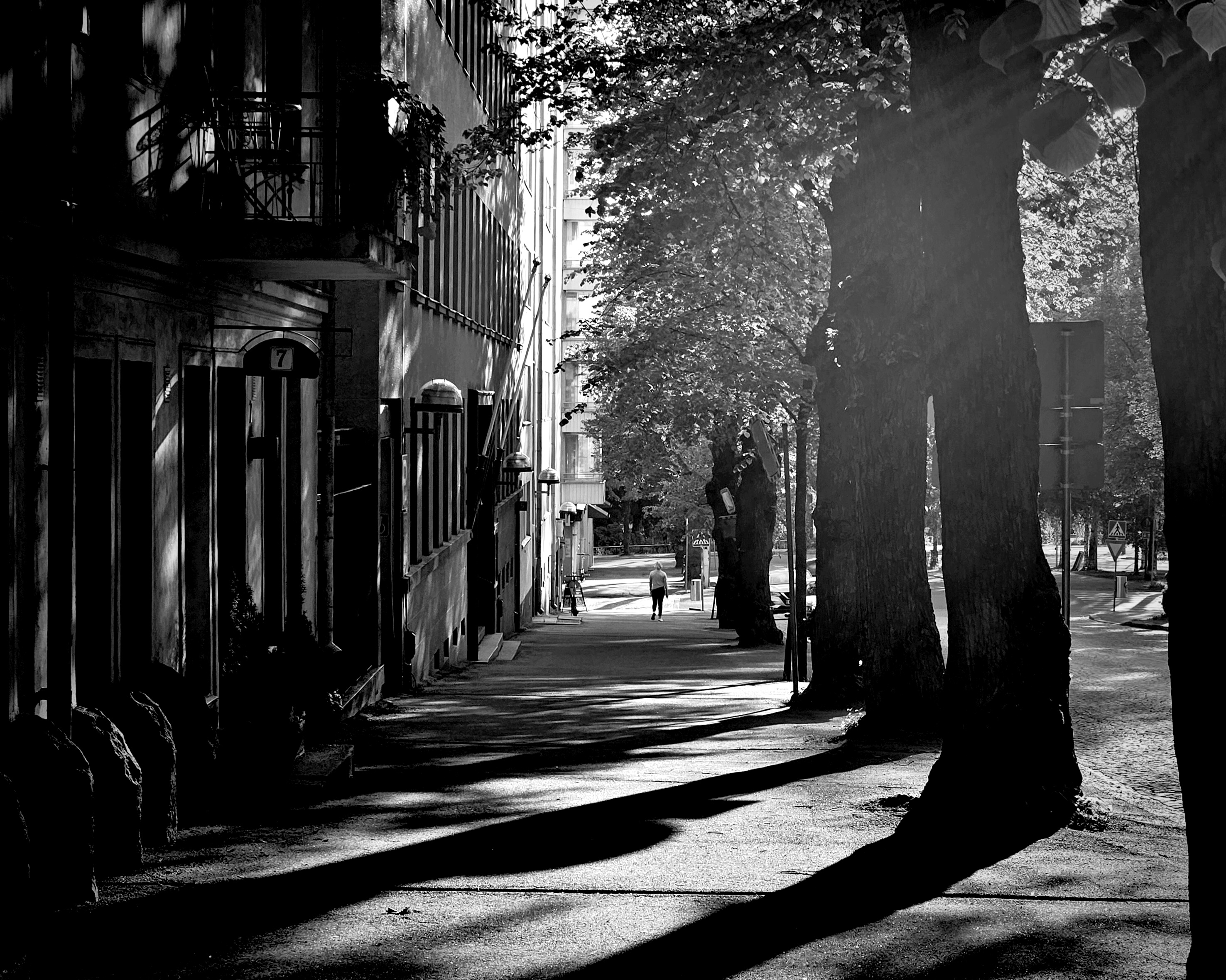 GuruShots - Powerful Black & White Jan 26