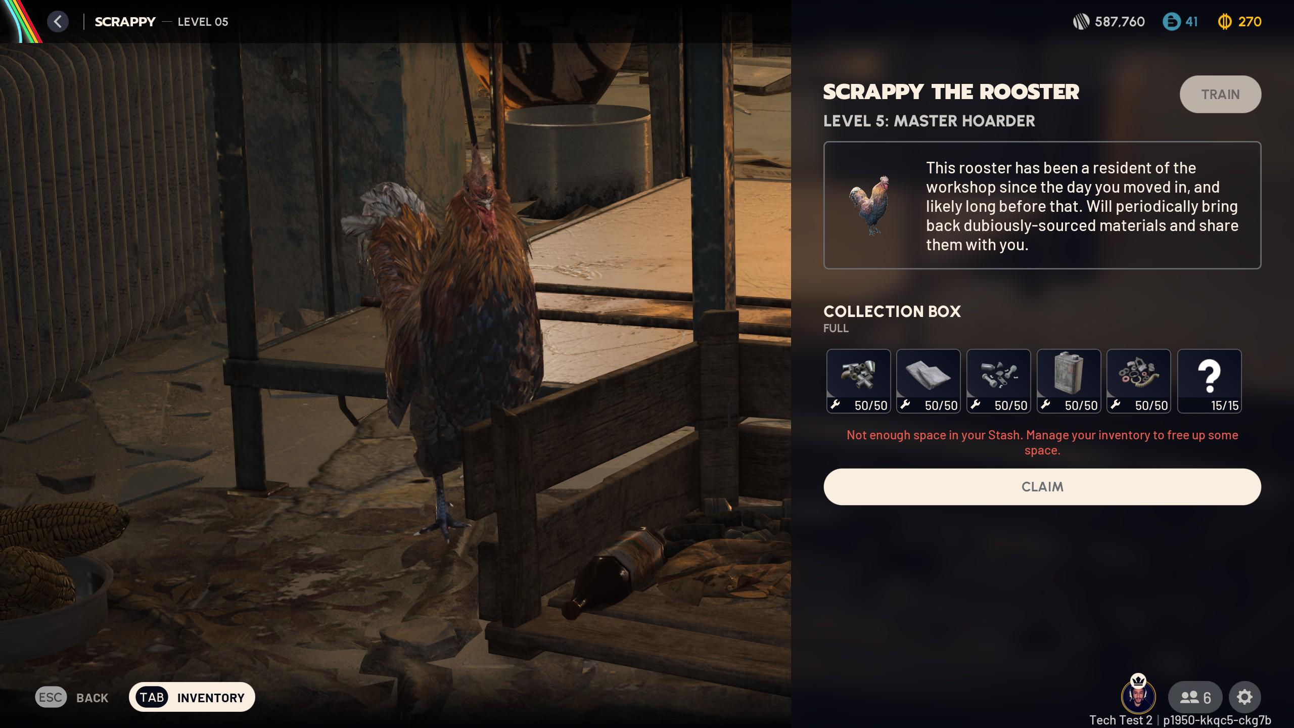 scrappy the rooster