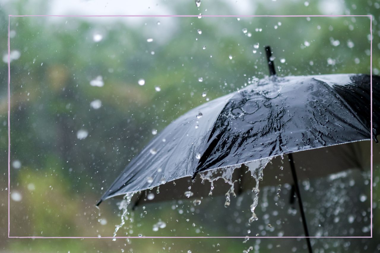 A close up of a black umbrella open in the rain