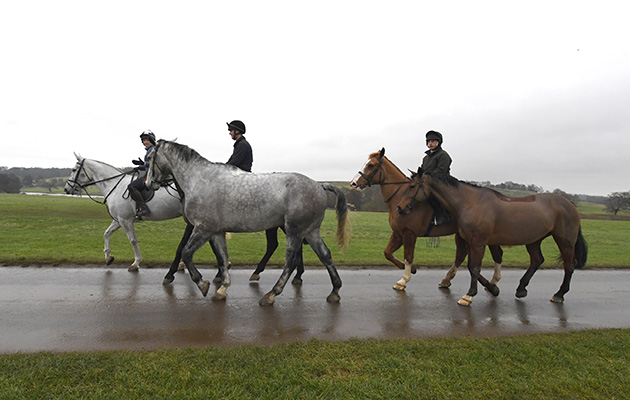 John’s partner Sophie Oliver is the stud groom, and looks after the 15 hunt horses in the stables