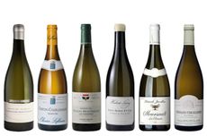 2010 white Burgundy wines