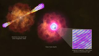 This illustration shows how measurements of polarized light in the afterglow of the gamma-ray burst GRB 120308A by the Liverpool Telescope and its RINGO2 instrument indicate the presence of a large-scale stable magnetic field linked with a young black hole.