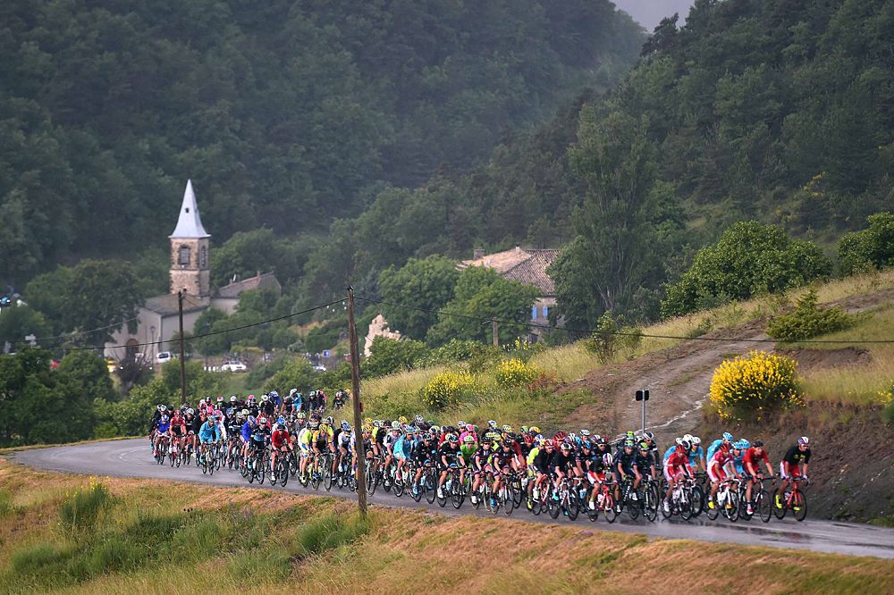 The main field during stage 4