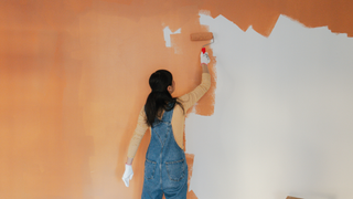 back of a person painting a wall orange