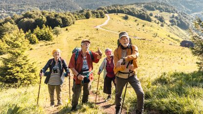 Group of seniors walking