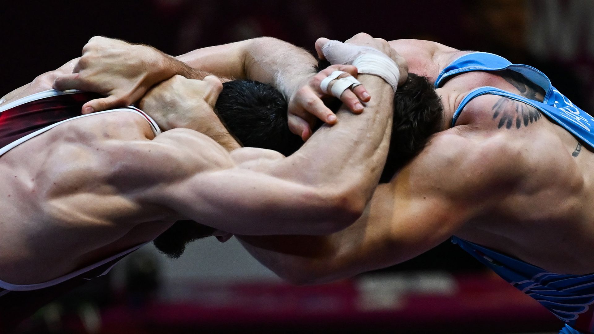 
                                Cengiz Arslan and Istvan Vancza wrestle at the European Wrestling Championships in Tirana, Albania
                            