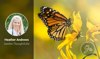 Heather Andrews Butterfly Garden Course image