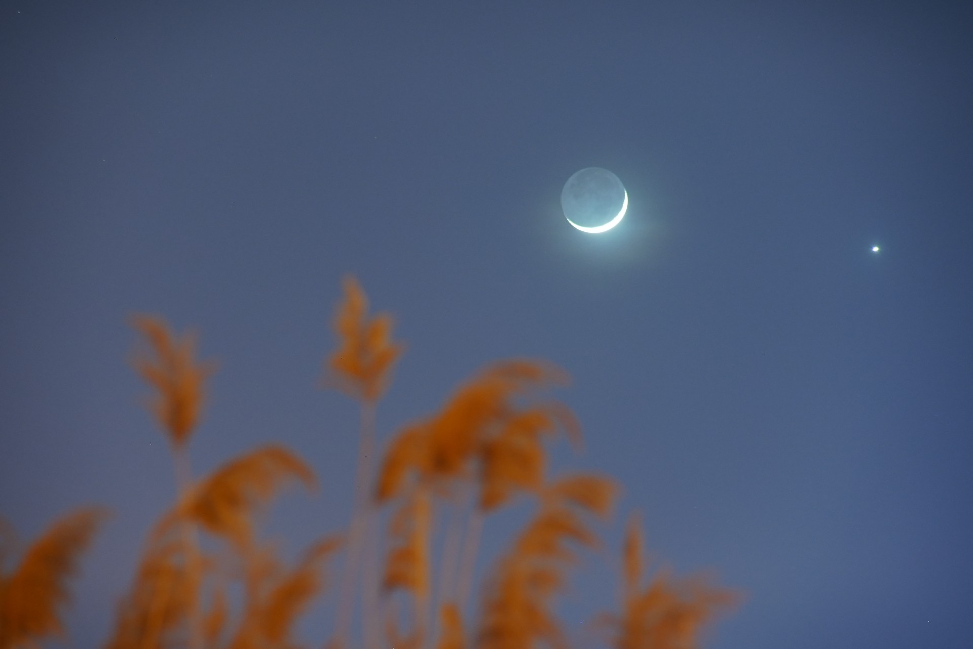 The moon and Venus sign up for shut in combination within the night time sky Aug. 5