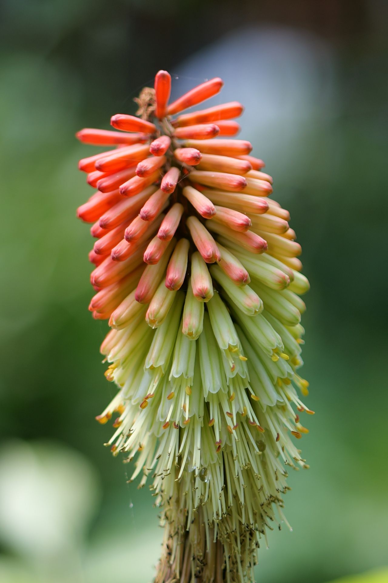 Images captured on the Panasonic Lumix S9