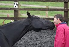 Jason Webb having kisses with Diesel, practising for Your Horse Live 2013