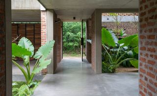 Courtyard view with brick walls and green plants