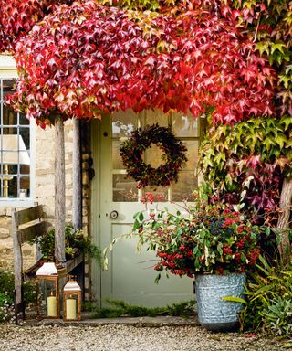 Fall planter ideas with red ivy covering porch roof and planter full of berry branches