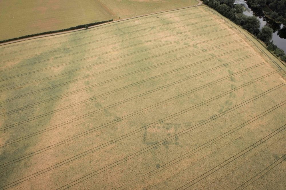 Crop marks caused by warm weather have revealed an buried henge monument in a field to the south of Newgrange.