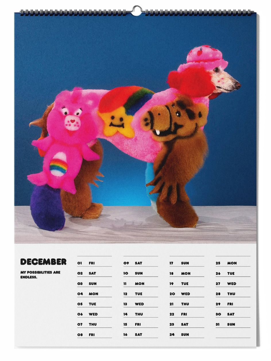Daniel Gebhart de Koekkoek’s 2023 calendar of dog portraits Wallpaper