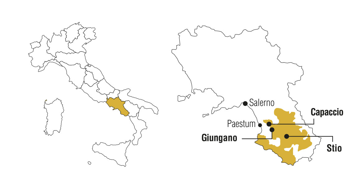 san_salvatore_map.jpg