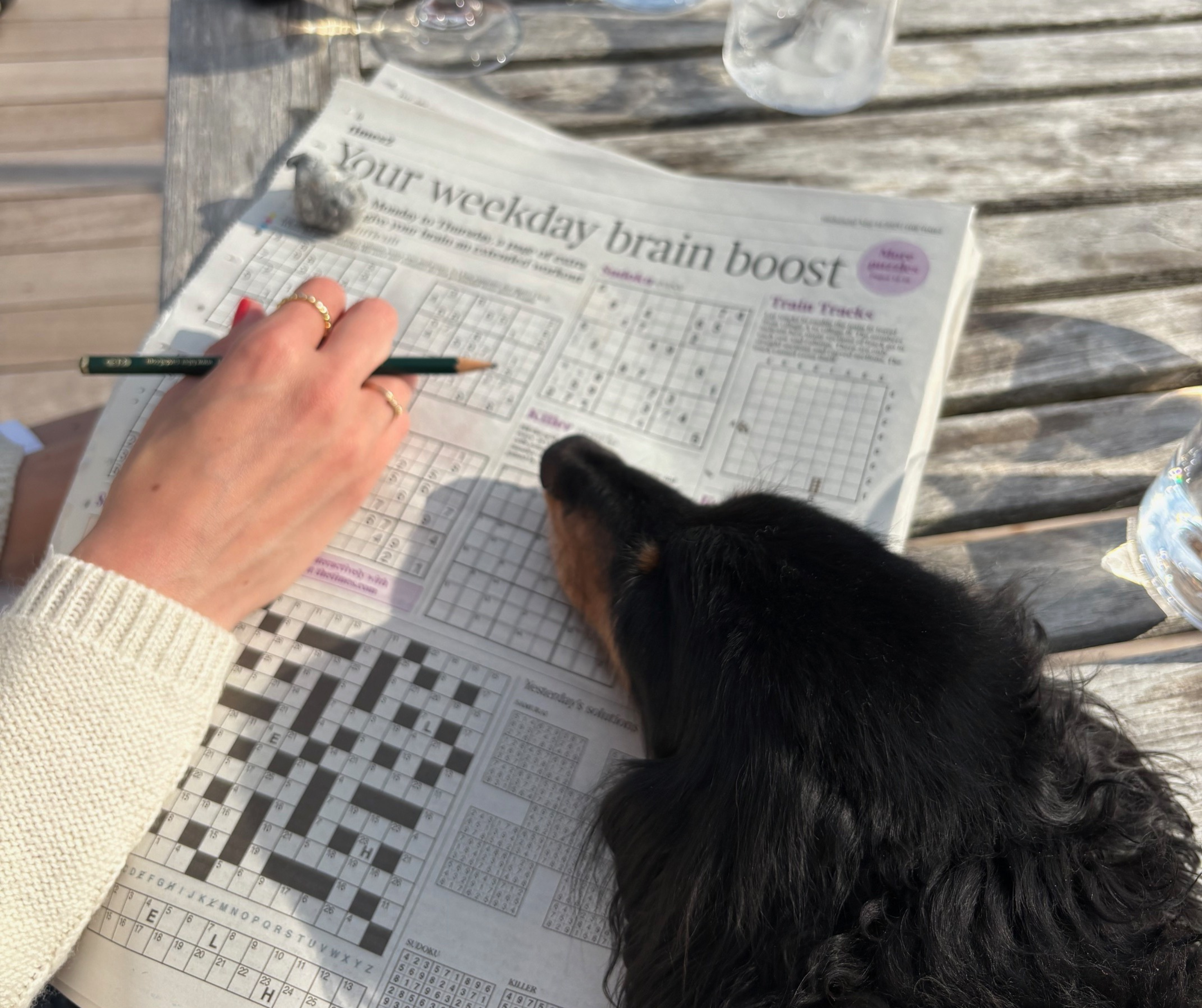 A dachshund sits beside a wooden outdoor table overlooking the sea as a person completes puzzles in a newspaper, with glasses of water and wine nearby.