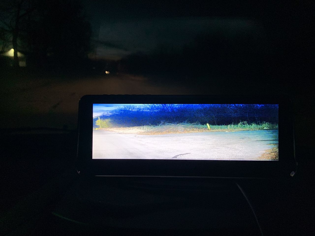 Lanmodo Vast with grass on display using night vision
