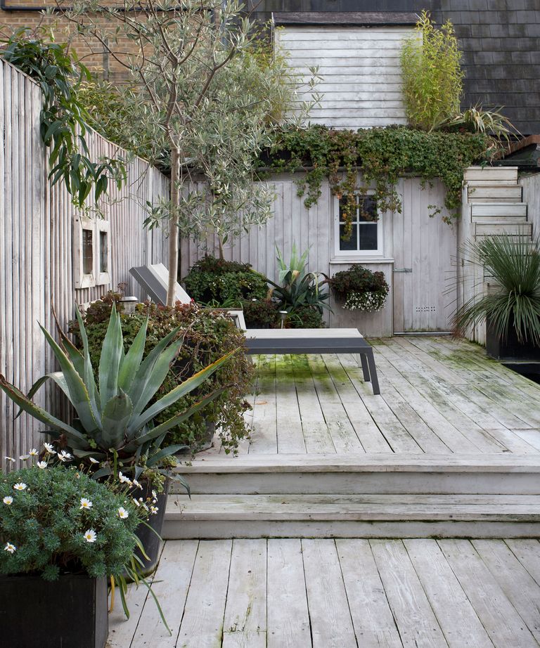 BEST SMALL YARD DESIGNS visual data 7