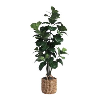 Faux Fiddle Leaf Fig Tree in Wicker/Rattan Basket