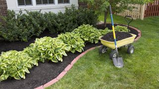 mulch surrounding plants in front yard with wheelbarrow on right side 