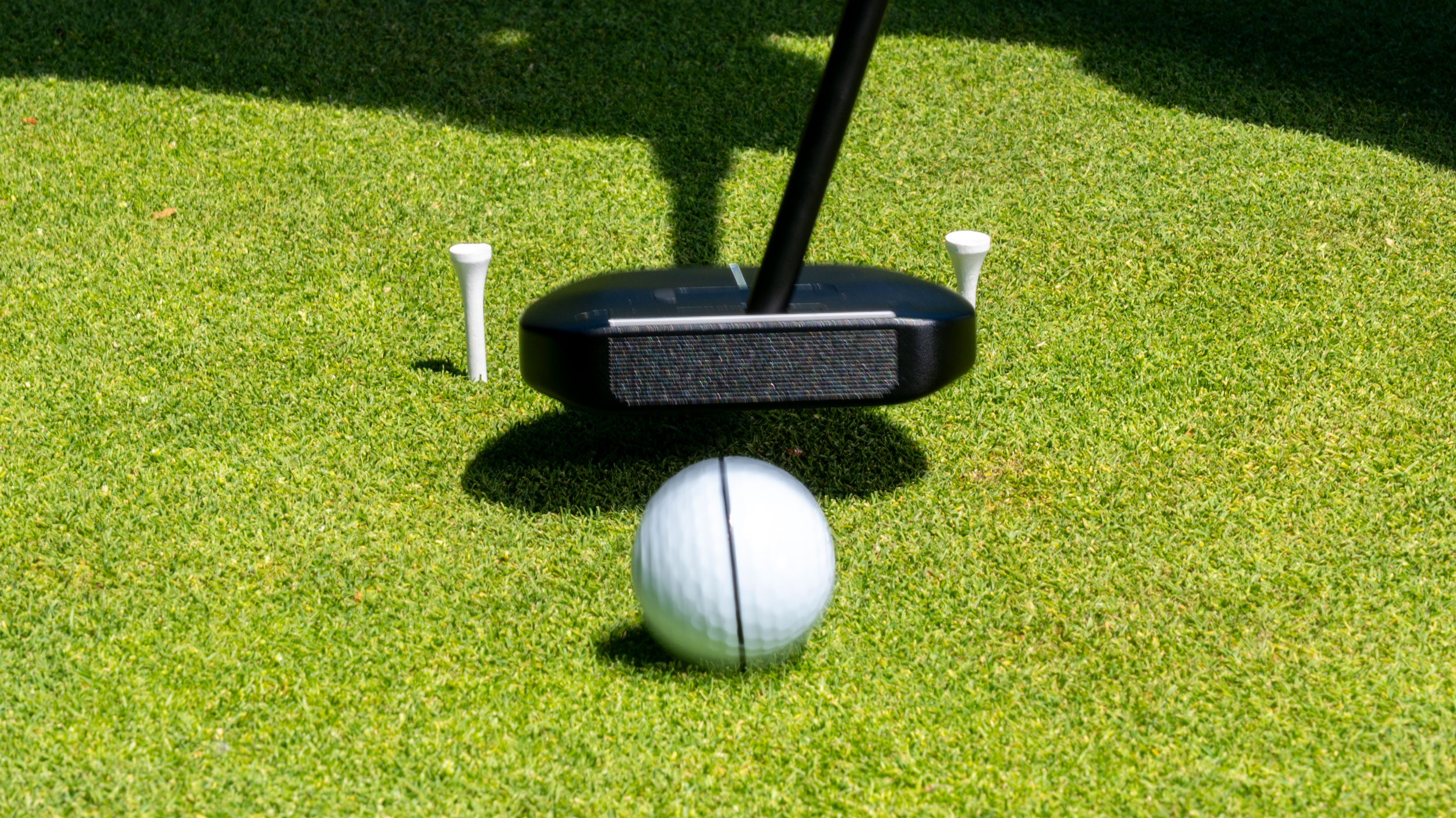 Mallet putter