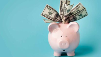 A smiling pink piggybank stuffed with $100 dollar bills, on blue background with copy space.