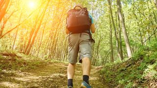 A person walking uphill in a wood