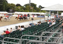 royal-festival-grandstand.jpg