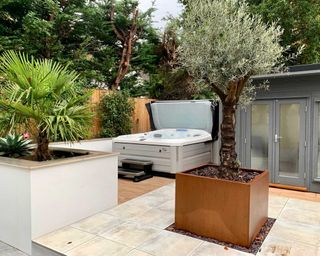hydrolife hot tub with olive tree in planter
