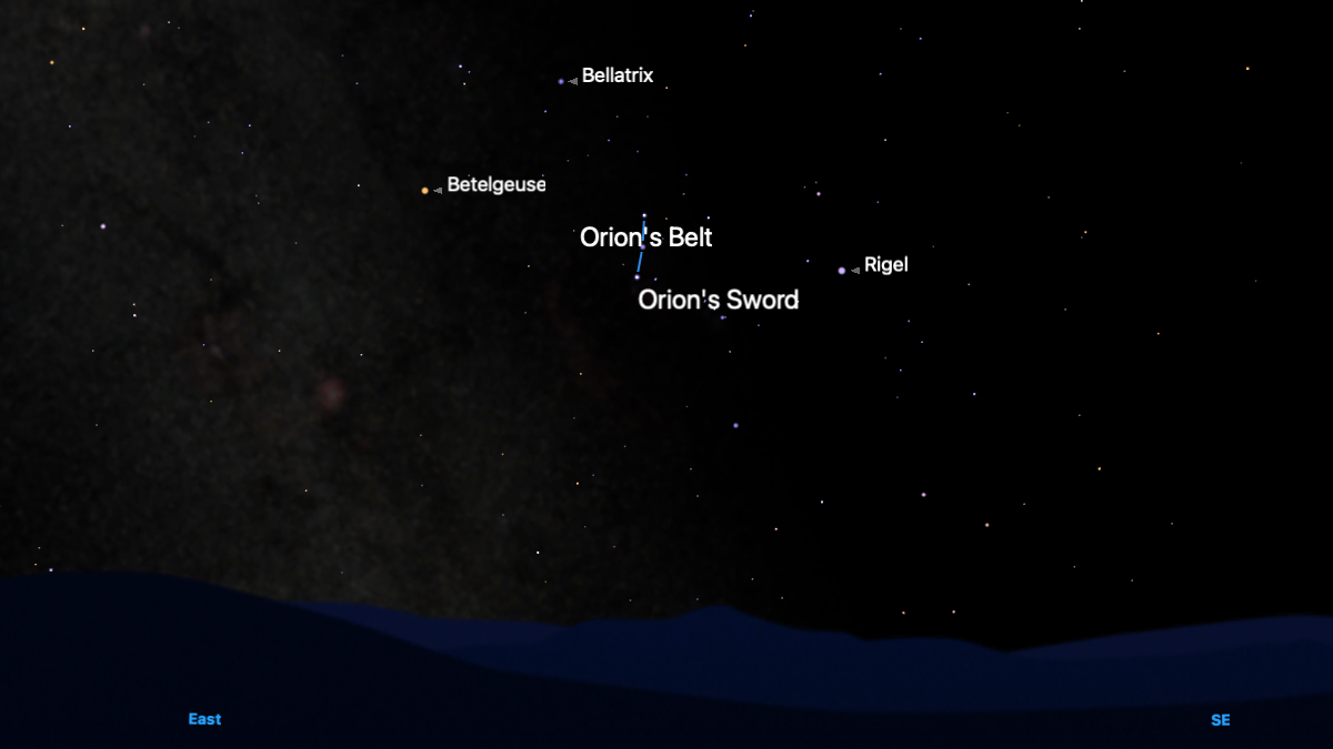 A simulation of the night sky for Dec. 8 showing the stars of the constellation Orion labelled above the southeastern horizon. The stars that make up the Orion's Belt asterism are joined by a blue line.