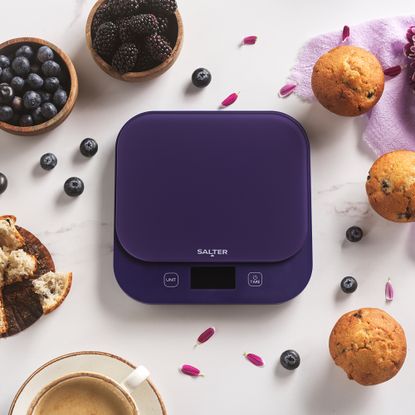 Salter colouful scales