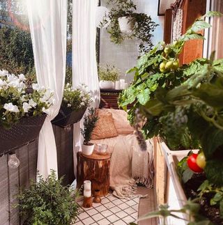 Small balcony with plants