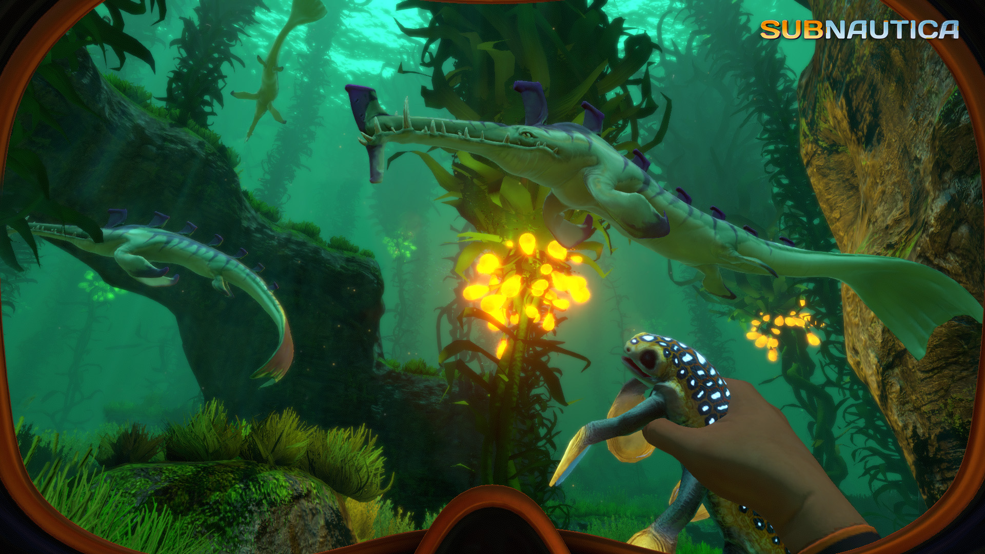 Subnautica character holding a sea creature with a few other sea creatures in front of them