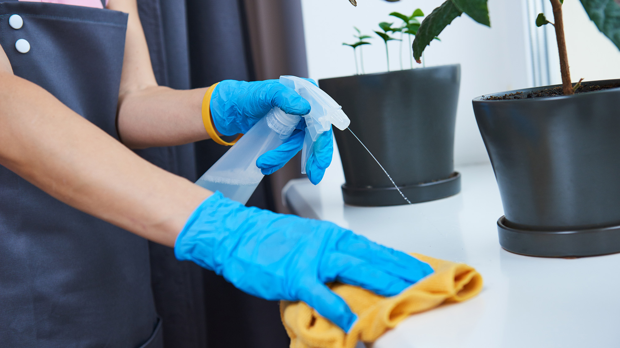 Woman wiping windowsill