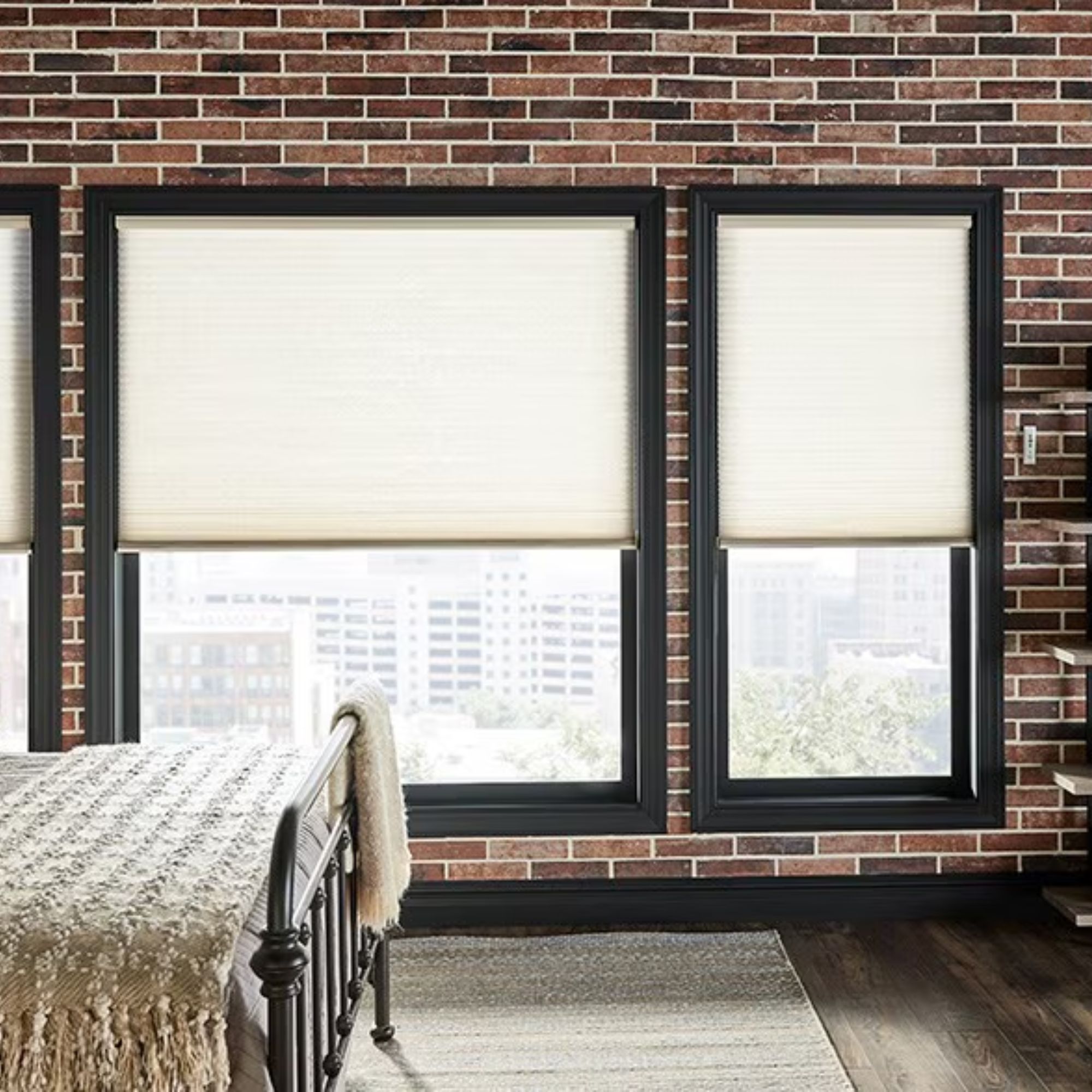 Light Filtering Cordless Cellular Shades