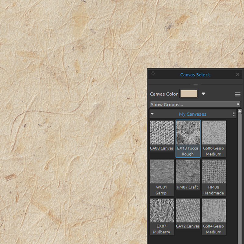 Rebelle 8 canvas preview