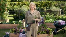 Martha Stewart in a garden of raised beds with vegetables with Miracle-Gro's new soil