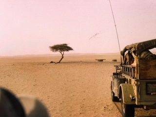 Before it was destroyed, the Tree of Ténéré was an isolated acacia tree located in the Ténéré region of the Sahara Desert in modern-day Niger.