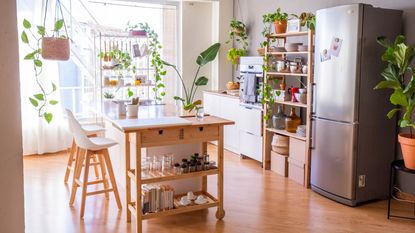 Kitchen with island and plants