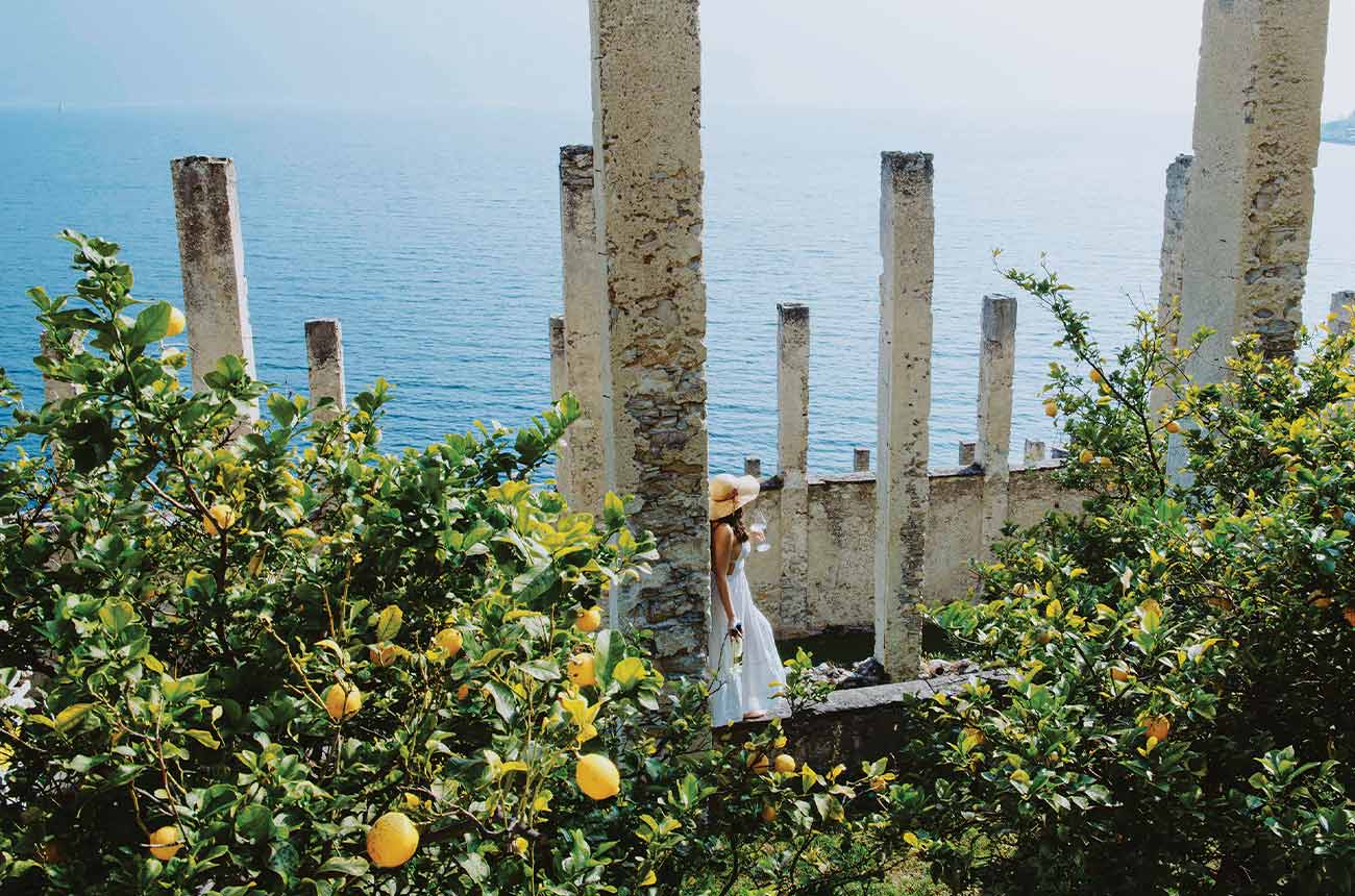 Lemon trees at Lake Garda, Italy