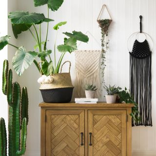 wooden cupboard with plant pots
