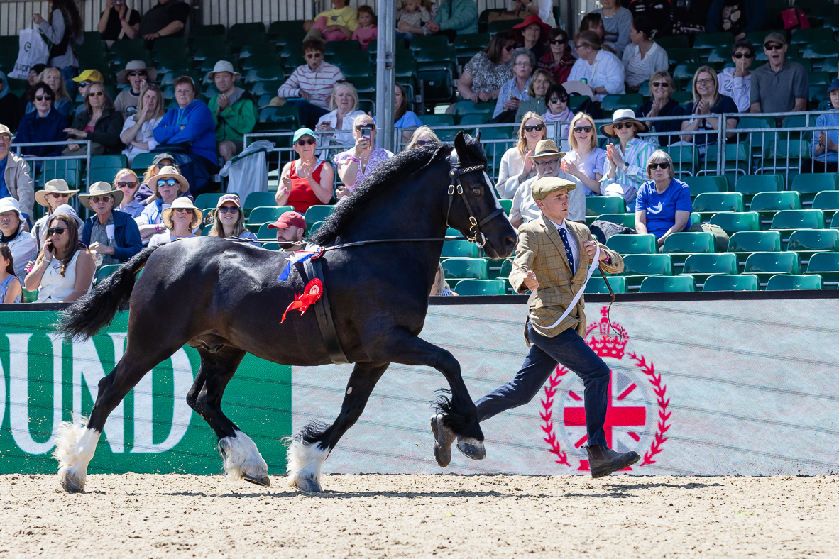 RWHS_H&amp;amp;H In Hand Supreme_-33