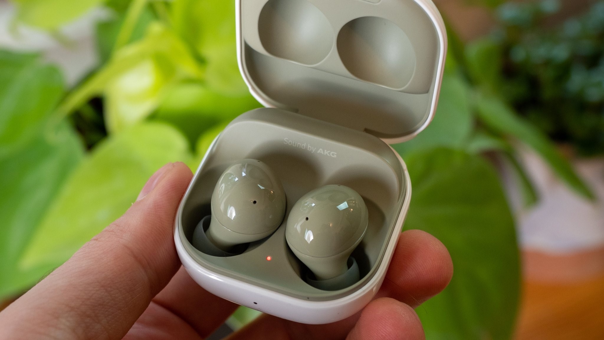 Samsung Galaxy Buds 2 in front of plant