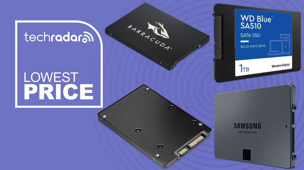 Disque dur SSD WD Blue SA510 1 To 2,5 SATA III
