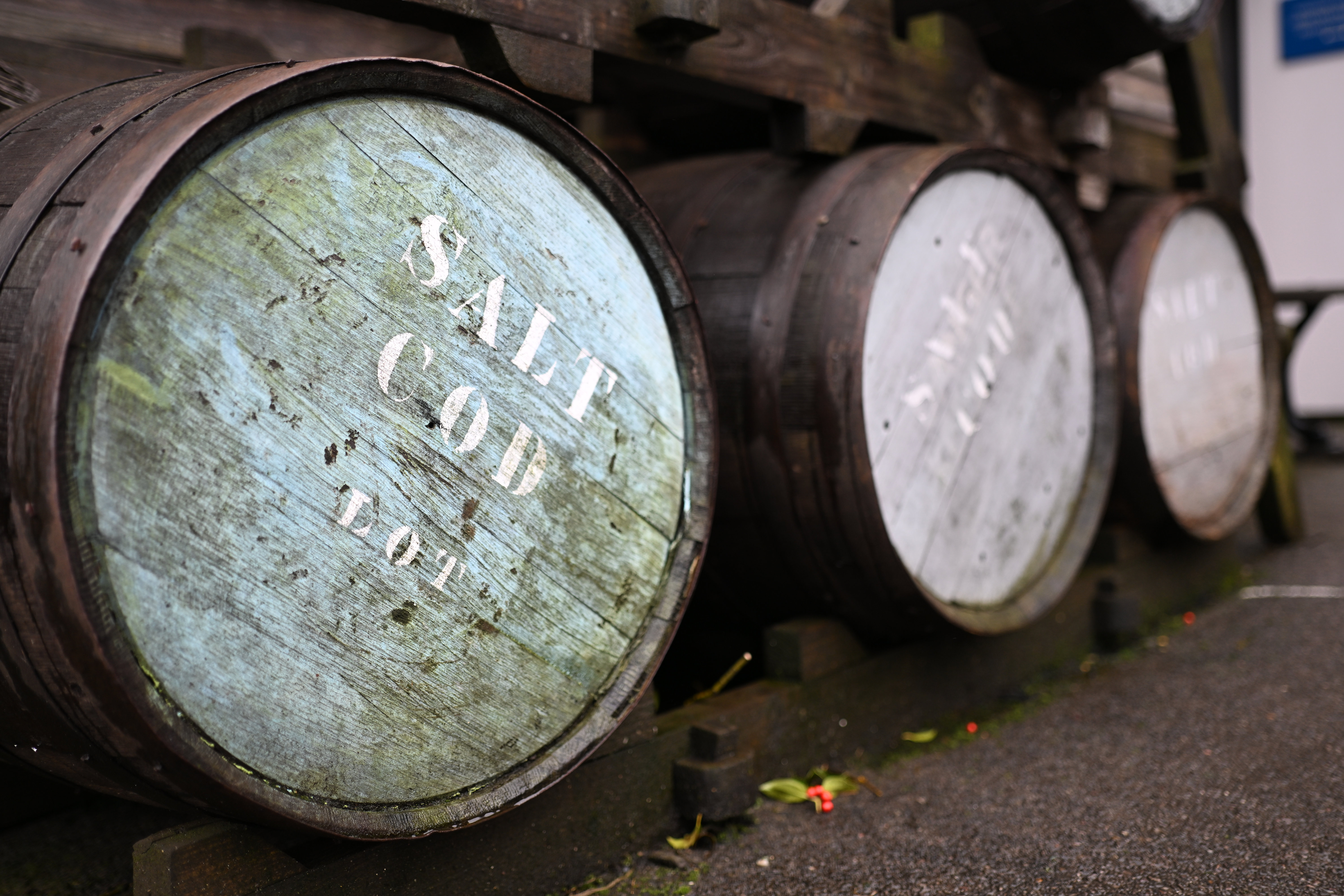 Meike 35mm f/1.8 Pro AF sample shot